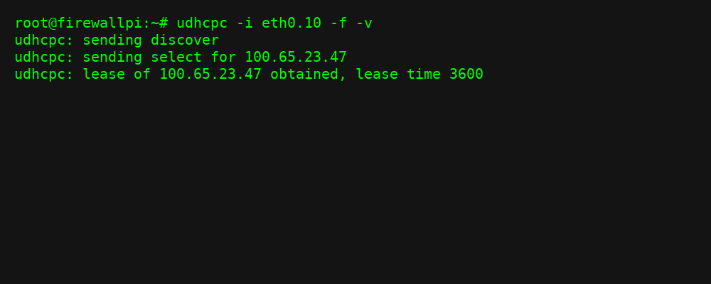Terminal: DHCP Lease